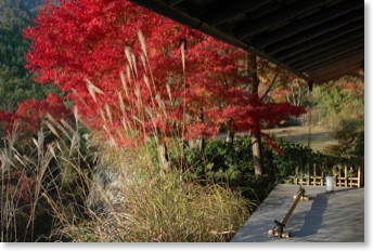 松山閣②紅葉